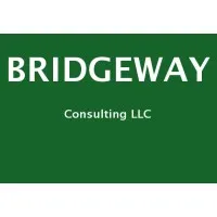Bridgeway Consulting LLC