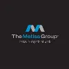The Metiss Group The Metiss Group