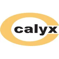 Calyx Chemicals & Pharmaceuticals Ltd. Calyx Chemicals & Pharmaceuticals Ltd.
