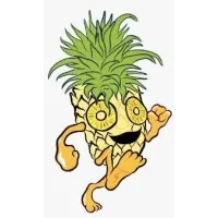 PineapplExpress Co.