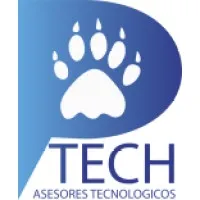 P-Tech Consulting Services