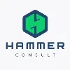 Hammer - Consult Hammer - Consult