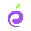 RippleBerry Tech