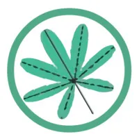 Regeno Ventures Pvt Ltd