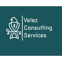 Velez Consulting Services