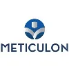 Meticulon Consulting Meticulon Consulting