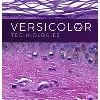 Versicolor Technologies Versicolor Technologies