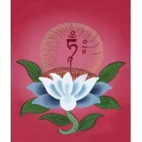 Ayurveda Polarity Therapy & Yoga Institute (APTYI)