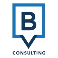 BV Consulting