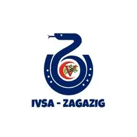 IVSA - Zagazig