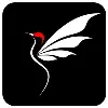 CloudFly Digital Agency CloudFly Digital Agency