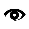 Securiton International