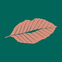 Alder Packaging Alder Packaging