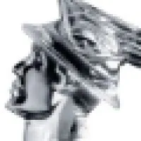 Mercury Professional Group, Inc.