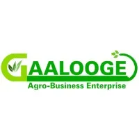 Gaalooge