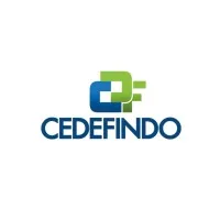 PT CEDEFINDO PT CEDEFINDO