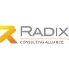 Radix Consulting Alliance | Supply Chain - Logistics - Operations - Transportation - Automation Radix Consulting Alliance | Supply Chain - Logistics - Operations - Transportation - Automation