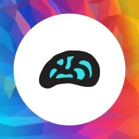 About my Brain Institute About my Brain Institute