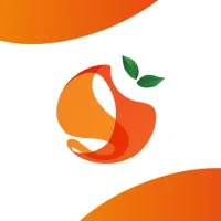 Orange Network Orange Network