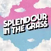 Splendour in the Grass Splendour in the Grass