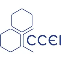 CCEI NORTH AMERICA 