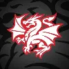 St George Illawarra Dragons St George Illawarra Dragons