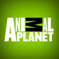 Animal Planet