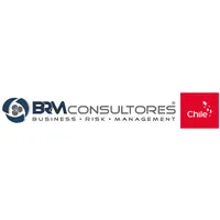 BRM Consultores ® BRM Consultores ®