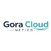 Gora CloudNetics Pvt Ltd Gora CloudNetics Pvt Ltd