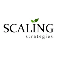 Scaling Strategies Scaling Strategies