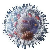 BioCytics Inc