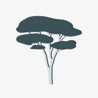 Acacia Collaborative Acacia Collaborative