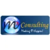M3 Consulting Inc M3 Consulting Inc