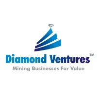 Diamond Ventures Funds 