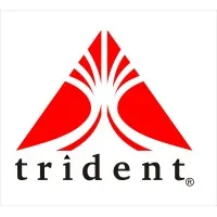 Trident Services Pvt. Ltd.