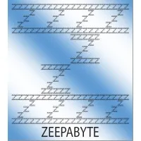 Zeepabyte, Inc.: "The fastest Analytics on large data at the lowest Cost of Performance" Zeepabyte, Inc.: "The fastest Analytics on large data at the lowest Cost of Performance"