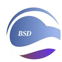 BSD Business Consulting