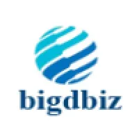 Bigdbiz Solutions Pvt Ltd