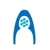 Nutcracker Therapeutics Nutcracker Therapeutics