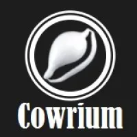 Cowrium Int Ltd