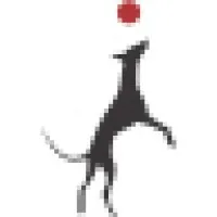 Zoomies, Dog Daycare and Training Centre Zoomies, Dog Daycare and Training Centre