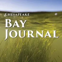 Chesapeake Bay Journal