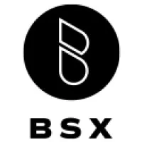 BSX Vapor