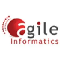 Agile Informatics