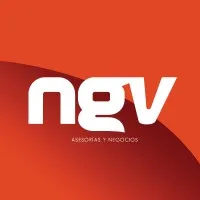 NGV Asesorías y Negocios