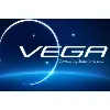 Vega Consulting Solutions, Inc Vega Consulting Solutions, Inc