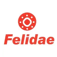 Felidae Infosec Pvt Ltd