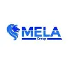 Mela Group Inc Mela Group Inc