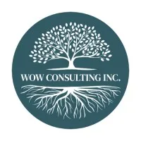 WOW Consulting Inc