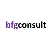 BFG Consult